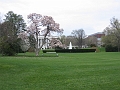 06 Cherry blossoms, White House